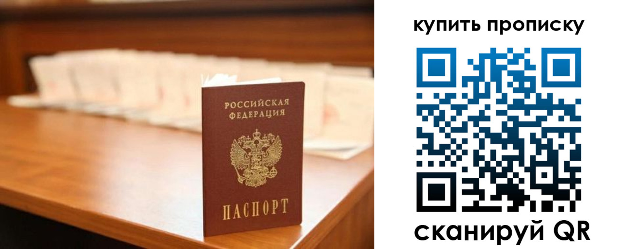 прописка 2025 в Каргополе